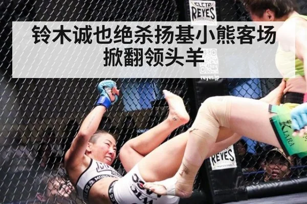 铃木诚也绝杀扬基小熊客场掀翻领头羊